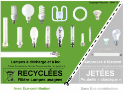 recycler-ampoule.png